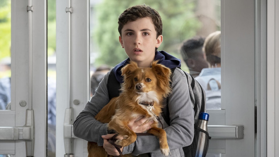     Netflix: seriale familijne na Wielkanoc 2021